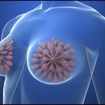 [19] +) 가슴이 중2~3때부터 안크는거같아