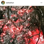[세훈] 180317 훈스타<b>그램</b>