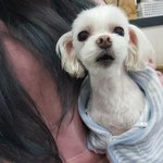 [드루와] 아까 미친<b>여자</b>가 우리<b>집</b>앞에계속서있던후기