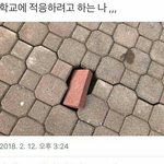 <b>영포</b>자 있냐