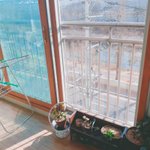 날씨 개좋다 ㅎㅎ <b>환기</b> 시키고 있음