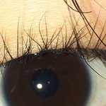 [댓글부탁해] <b>뷰러</b>도와줘ㅜㅜㅜ