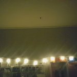 [이삐] <b>LED</b> 집게 꼭 사!