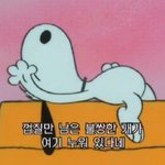 컨실러 <b>이중</b>에서 어디꺼가 나음??ㅈㅂ