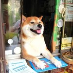 태초에 하나님이 내려오시고