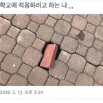웹툰추천해줘
