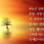 신의 일인 큰 조정