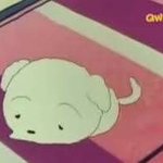 혐주의)얘들아ㅜㅠ이 블랙<b>헤드</b> 어떡함?ㅠ