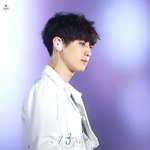 [EXO] <b>렌즈</b>에 생명의 나무 있는 거 아님?