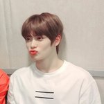 바슈롬 렌즈 어때?