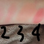 [댓글부탁해] <b>사진</b>ㅇ) 낼 블러셔뭐바를까 골라<b>주</b>셈