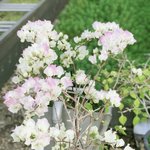 머리 덜 말랐는데 눕고 싶어