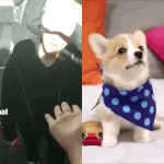 [EXO] 하...<b>조나</b> 귀엽다