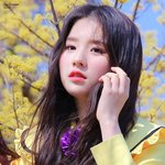[모두드루와] 멤버 공개만 1년 넘게 한 후 데뷔하는 그룹