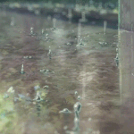 [조언부탁해] 얘들아 <b>bl</b> 좋아하는거..