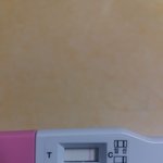 [19] <b>한</b><b>줄</b>맞지.....?