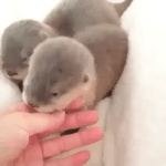 [방탄소년단] 난 메리<b>크리스마스</b> 오늘밤 혼자있고싶어