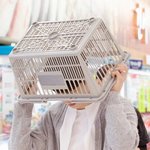 [댓글부탁해] 나 질뭉 좀 던져<b>주</b><b>셈</b>