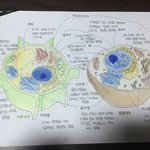 [댓글부탁해] <b>미적</b>감각 뛰어난 아이들아 와조❤️❣❣❣