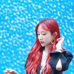 다시 새빨간 색으로 염색한 하니