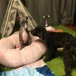 [위너] <b>오뜨</b> 너무 귀여워