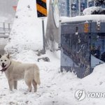 [댓글부탁해] 빨리들어와줘ㅠㅠ제발