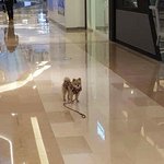 [댓글부탁해] 고추가 너무 작아서 안 들려 짤 잇는사람ㅃㄹ