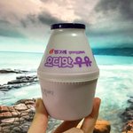 [<b>오디</b>맛우유] <b>오디</b>맛 우유와 여행을 ଘ(੭*ˊᵕˋ)੭* ੈ✩‧₊˚...