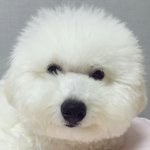 [EXO] <b>평양</b>공연뭐야ㅅㅂ