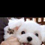 ㅋㅋㅋ 인증가능한 타<b>팬</b>인데 이게 워너원 잘못임?