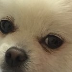 [드루와] 나 초딩때 찍힌언니랑 같은 동아리임