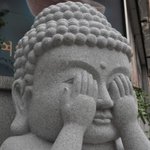 얘들아 나 단발로 잘랐어ㅜㅜ(사진있음)