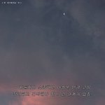 지금 아이폰7레드 중고 <b>시세</b> 얼마하려나