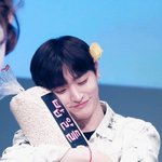 윤지성인기