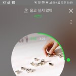 [세븐틴] 진짜 너무 설렌다