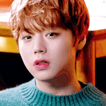 [워너원] 참너블 거르기b