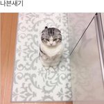[댓글부탁해] <b>색소</b>침착 ㅠㅠㅠㅠ