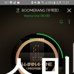 [워너원] 야 솔직히 애들 해명글은 ㅈㄴ안보지않냐