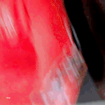 [백현] <b>mlb</b>백현 gif