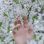 꼭 이런 날은 <b>잠</b> 안<b>옴</b>ㅗ