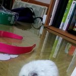 <b>남자쌤</b>꼬시려면 얼마나이뻐야되?