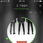 [세븐틴] 방금 갓챔 <b>캐럿</b>들 플카 잡힌거
