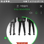 [세븐틴] 잠만 나 방금 뭘본 거야