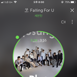 [세븐틴] 뒤에 남팬으로 <b>추정</b>되는분