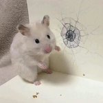 [댓글부탁해] 추반해주면 낼 화장잘머금