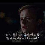 [댓글부탁해] 지금 <b>청자켓</b> 사는거 에바?