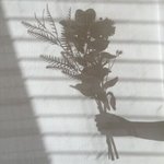 그 아무것도 없는 흰 <b>단화</b>있잖아