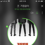 [세븐틴] 혹시 짹하는<b>캐럿들</b>
