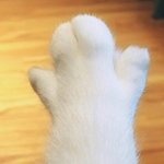 [드루와] <b>래들</b>아 나 렌즈 껴봤는데