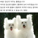 [드루와] 너네 티비안에 티비 알아?